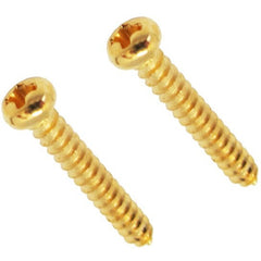 Original String Retainer Screws (2)