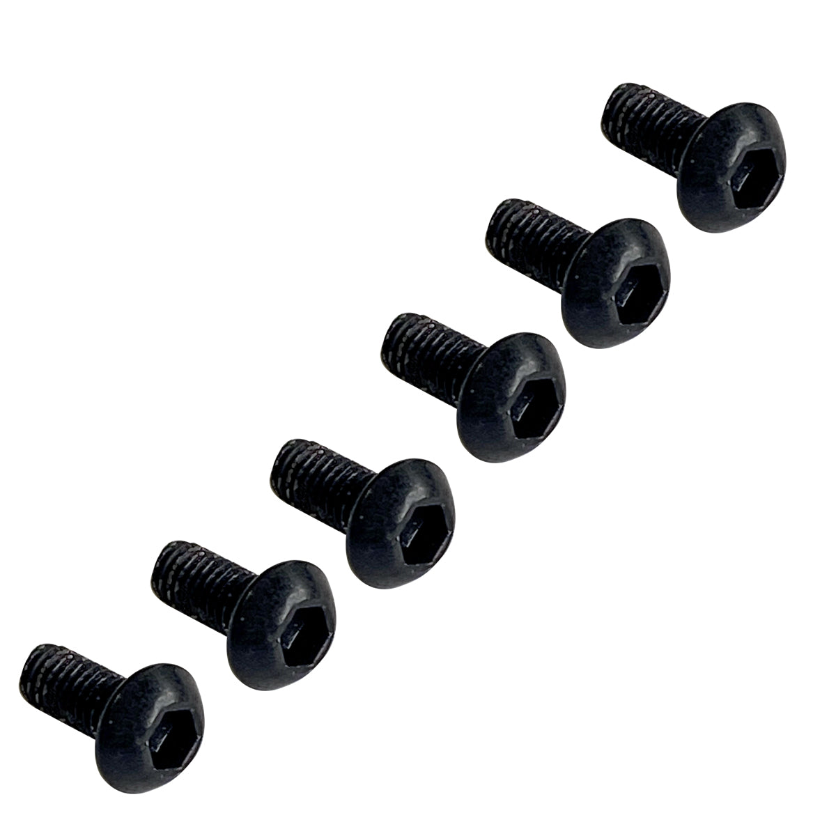 1000 Series Pro Saddle Mounting Screws (6)