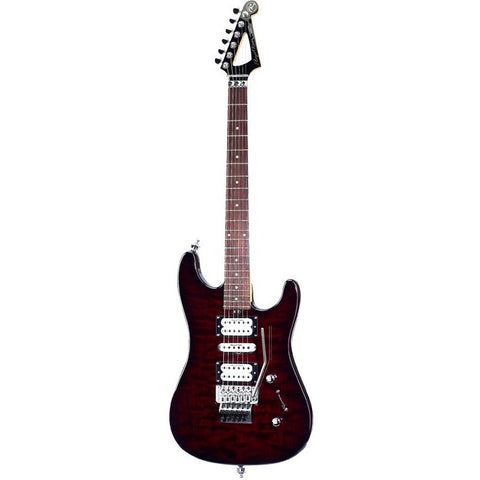 Discovery OT 2 Series Guitar Floyd Rose